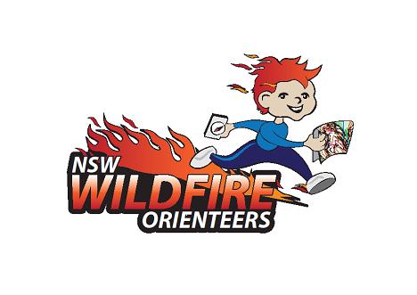 Wildfires logo