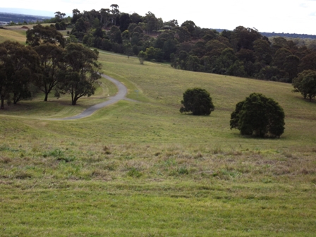 Mount Annan views